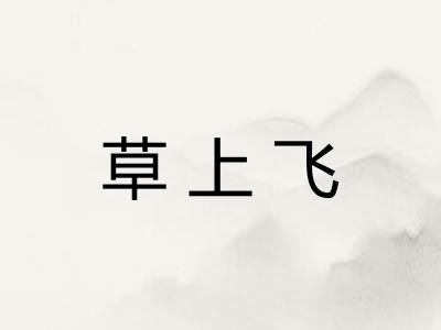 草上飞 草上飞