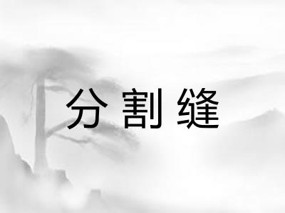 分割缝 分割缝