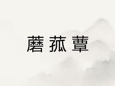 蘑菰蕈 蘑菰蕈