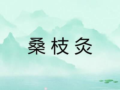 桑枝灸 桑枝灸