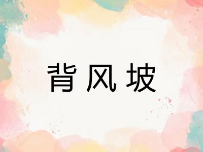 背风坡 背风坡