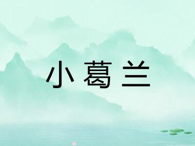 小葛兰 小葛兰