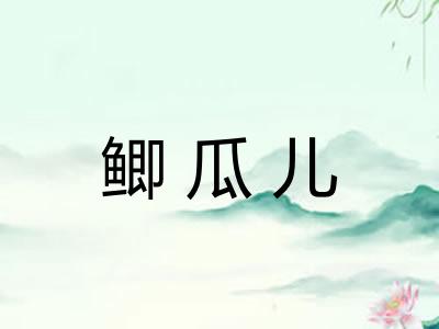 鲫瓜儿 鲫瓜儿