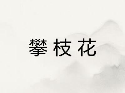 攀枝花 攀枝花
