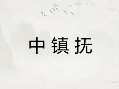 中镇抚 中镇抚