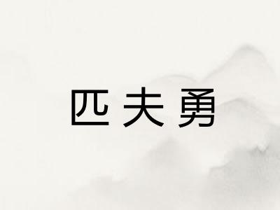 匹夫勇 匹夫勇