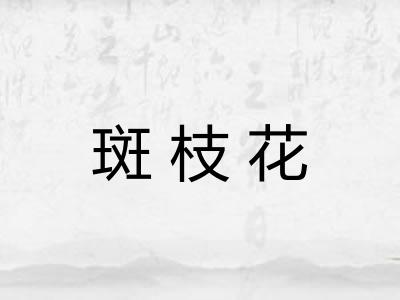 斑枝花 斑枝花