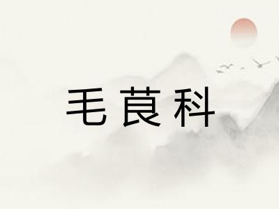 毛茛科 毛茛科