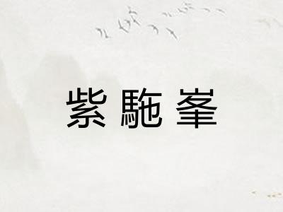 紫駞峯 紫駞峯