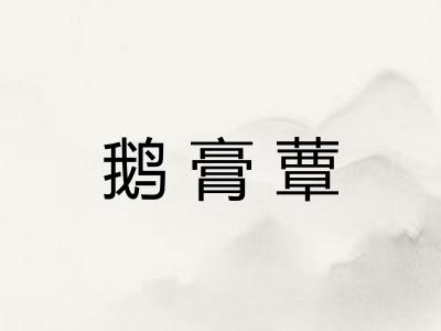 鹅膏蕈 鹅膏蕈