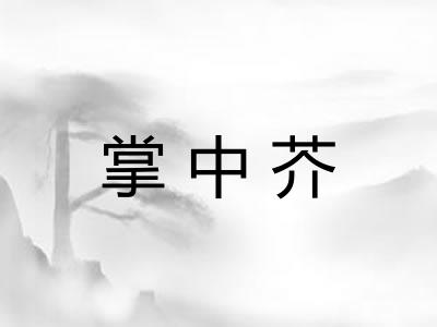 掌中芥 掌中芥