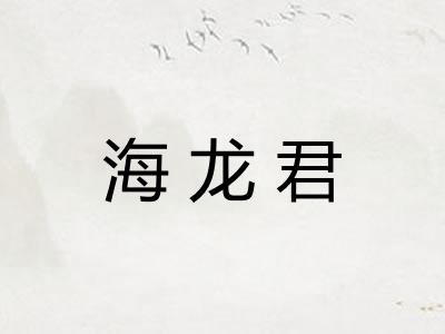 海龙君 海龙君