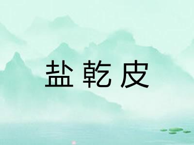 盐乾皮