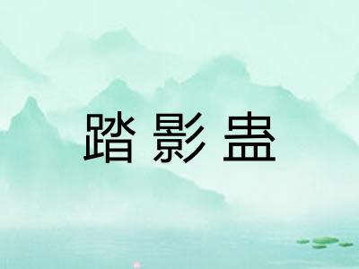 踏影蛊