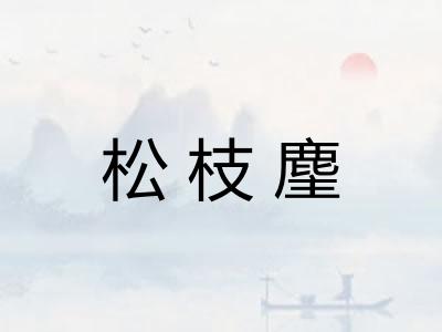 松枝麈