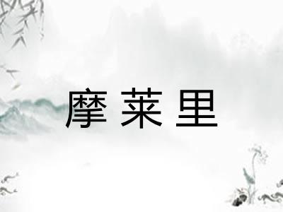 摩莱里 摩莱里