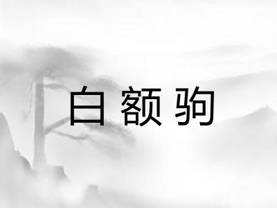 白额驹 白额驹