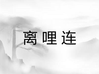 离哩连 离哩连
