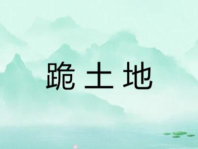 跪土地 跪土地