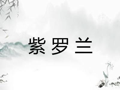 紫罗兰 紫罗兰