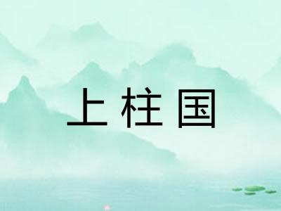 上柱国 上柱国