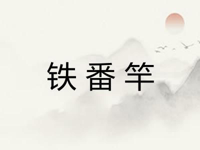 铁番竿