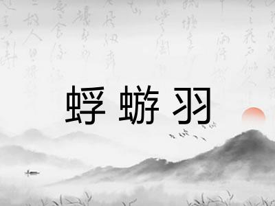 蜉蝣羽 蜉蝣羽
