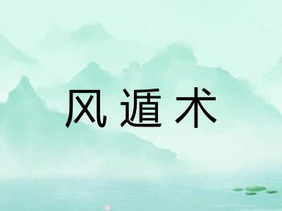风遁术 风遁术