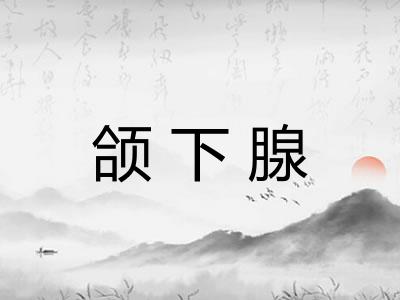 颌下腺 颌下腺