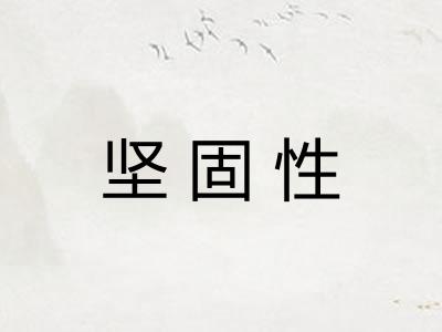 坚固性 坚固性