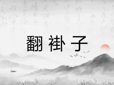 翻褂子 翻褂子