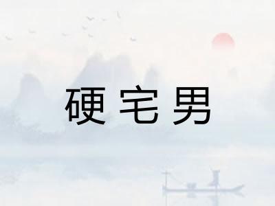 硬宅男 硬宅男