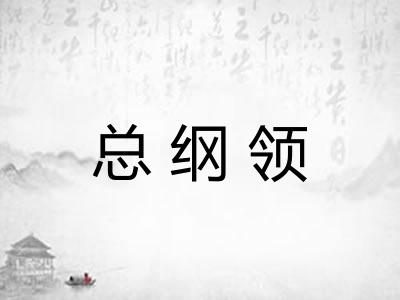 总纲领