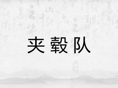 夹毂队