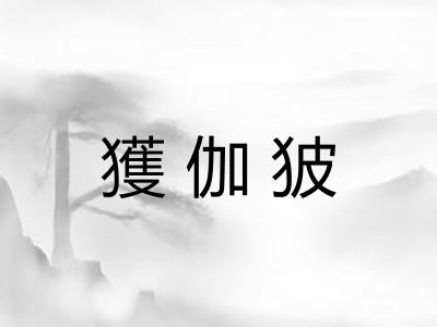 獲伽狓