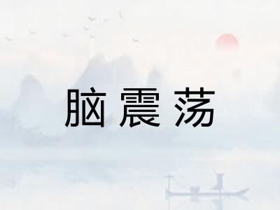 脑震荡 脑震荡