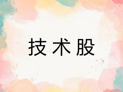 技术股 技术股