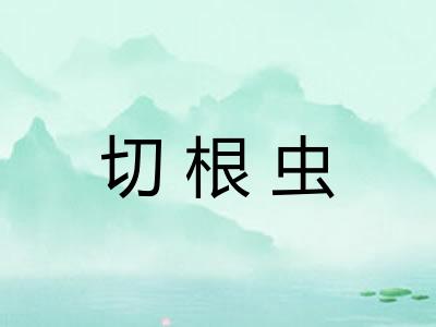 切根虫 切根虫