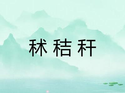 秫秸秆 秫秸秆