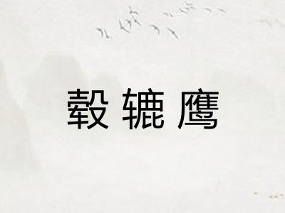 毂辘鹰