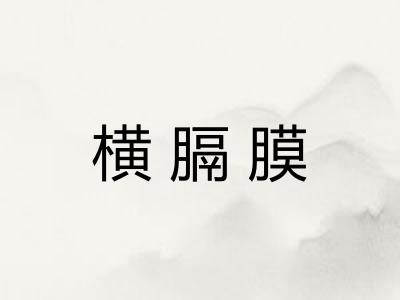 横膈膜