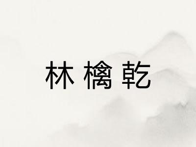 林檎乾 林檎乾