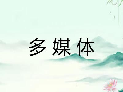 多媒体 多媒体