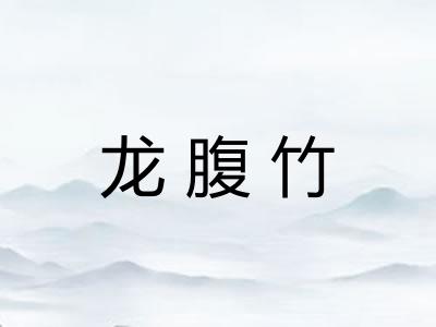龙腹竹 龙腹竹