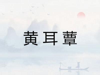 黄耳蕈 黄耳蕈