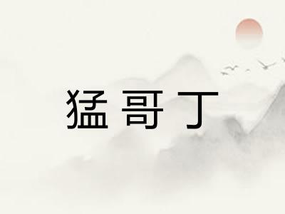 猛哥丁 猛哥丁