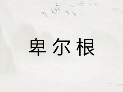 卑尔根 卑尔根