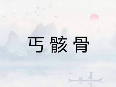 丐骸骨