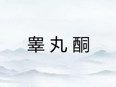 睾丸酮 睾丸酮