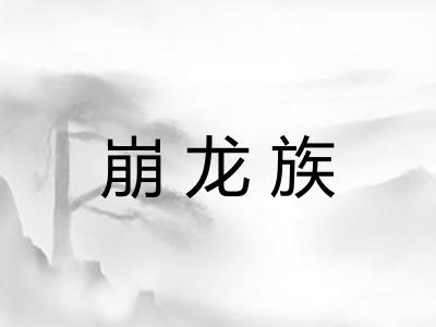 崩龙族